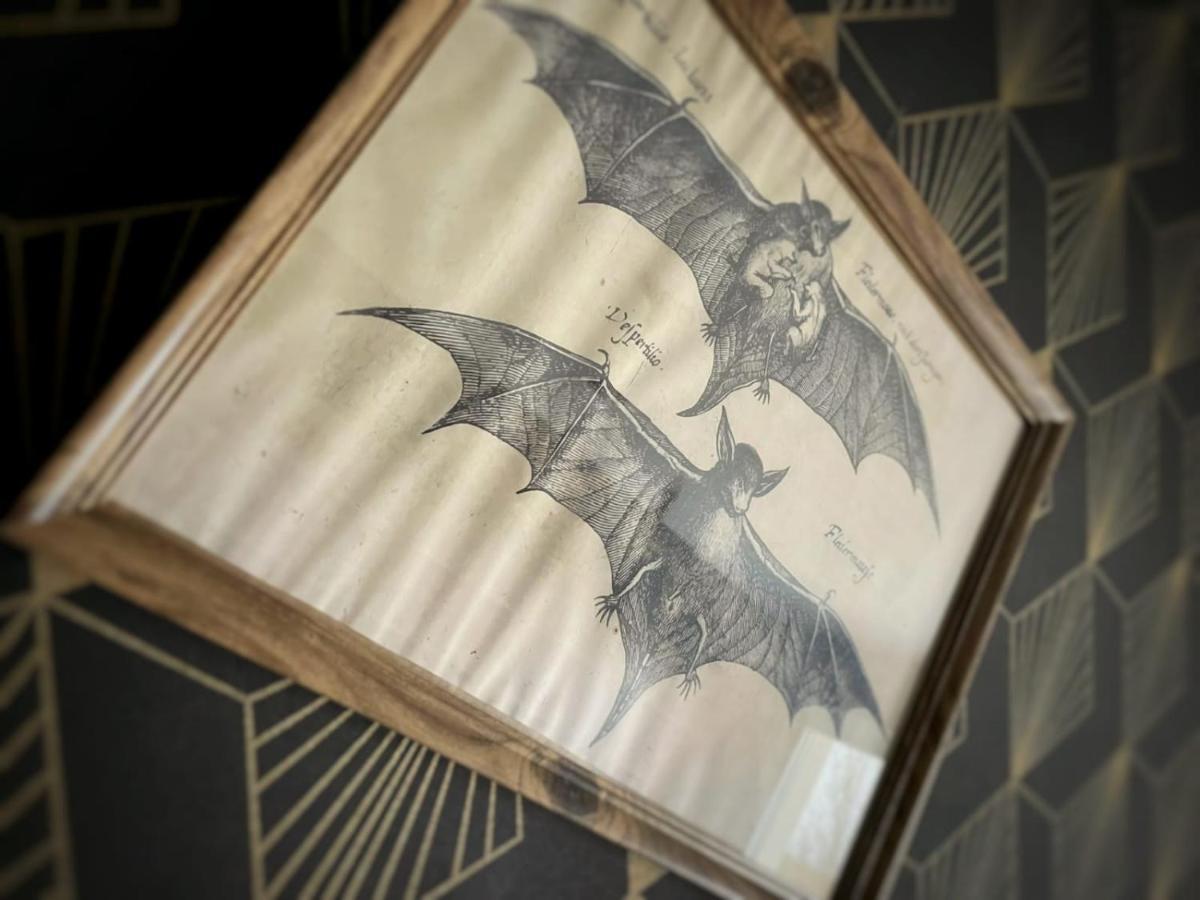 New - Bat'Appart - Dijon - Insolite 롱빅 외부 사진